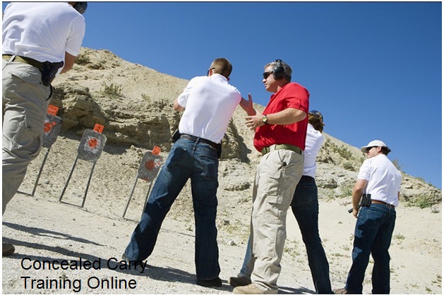 virginia fire arm training