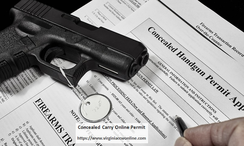 concealed weapon permit class online